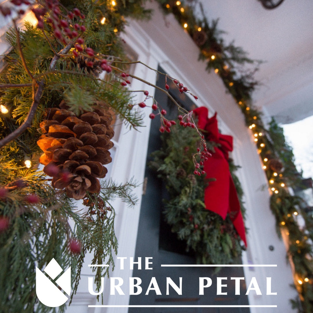 MCM: Greg Trahin of TriGetty & The Urban Petal