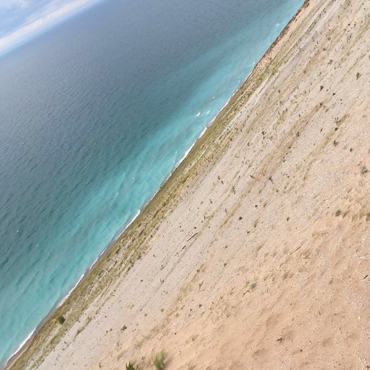 Forever Smitten with Mitten