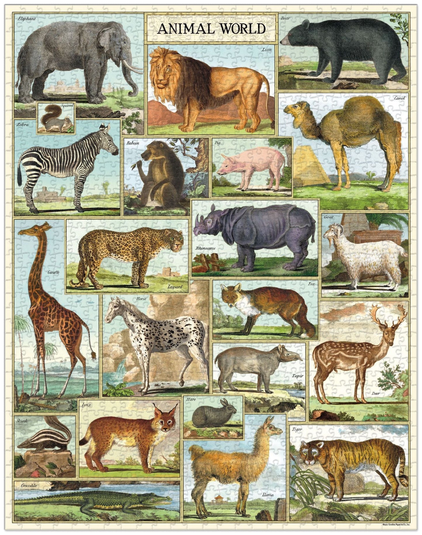Cavallini & Co. 1000 Piece Vintage Print Puzzles - Multiple Options