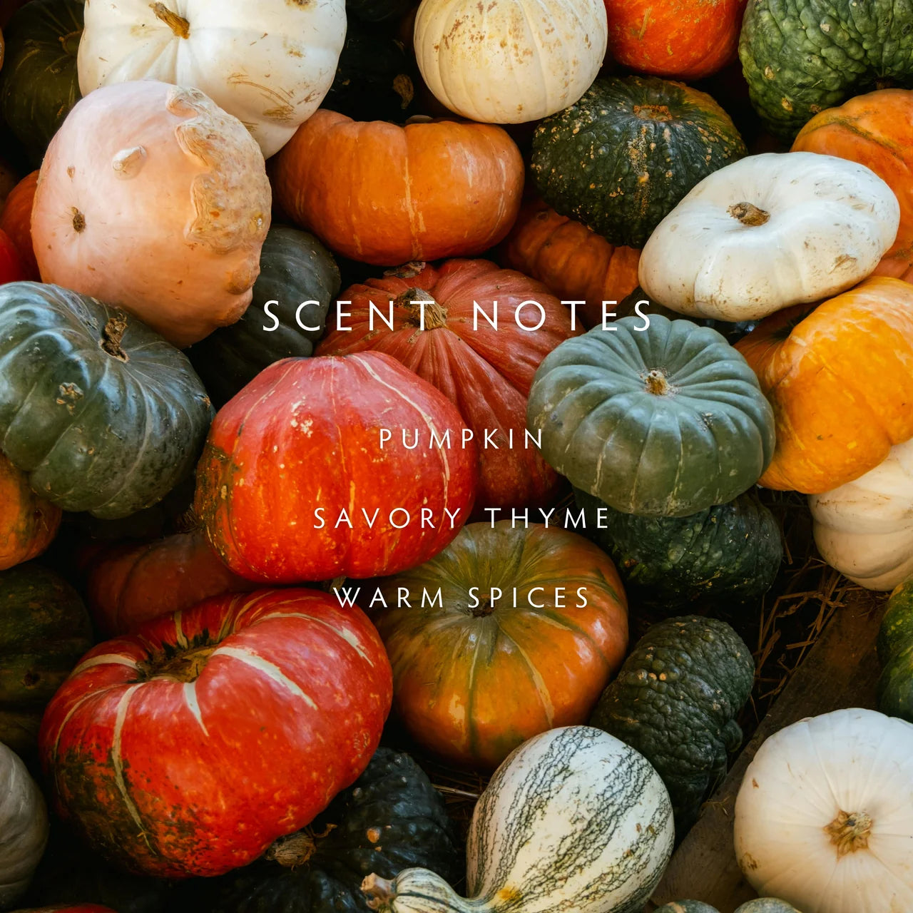 Linnea Candle, Harvest Pumpkin