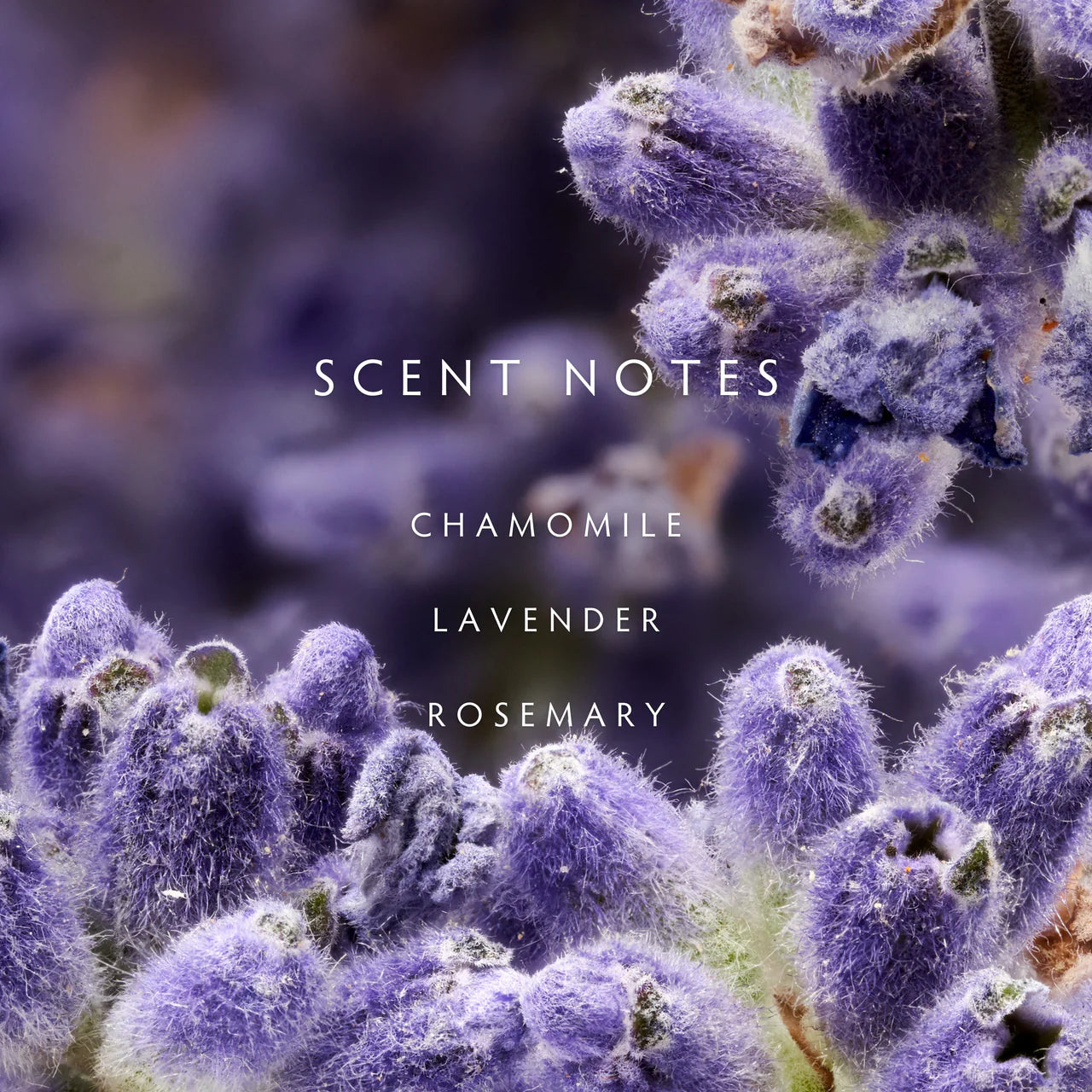 Linnea Candle, Lavender Rosemary - Multiple Options