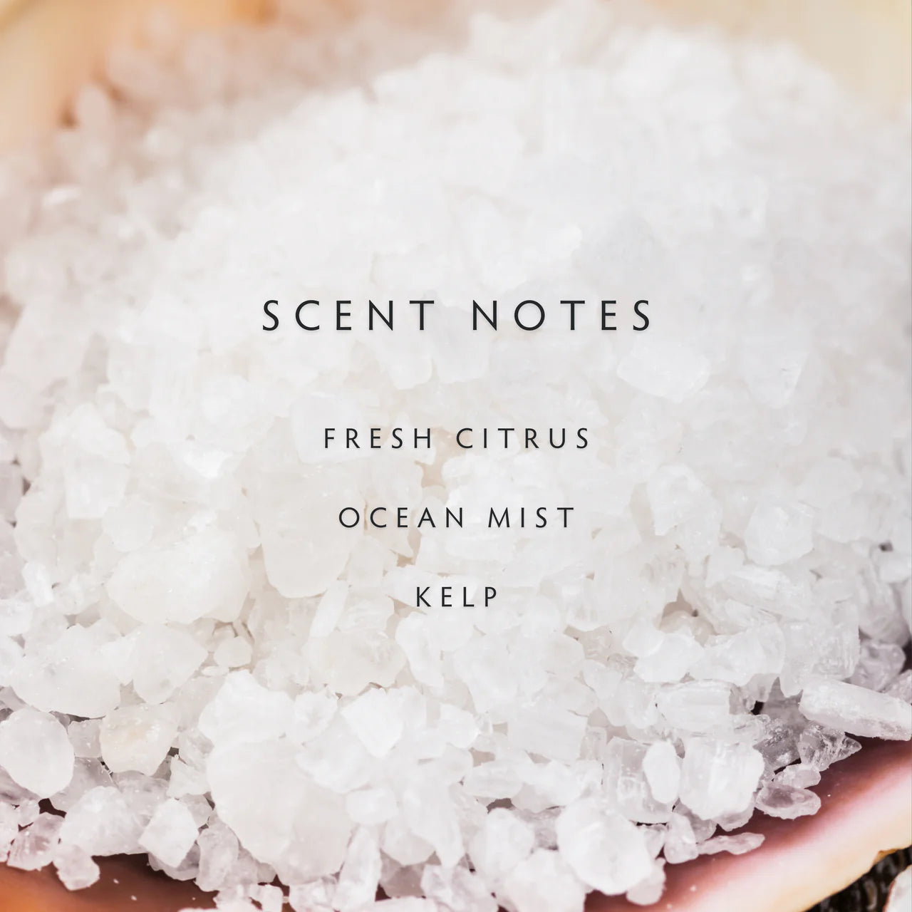 Linnea Candle, Sea Salt - Multiple Options