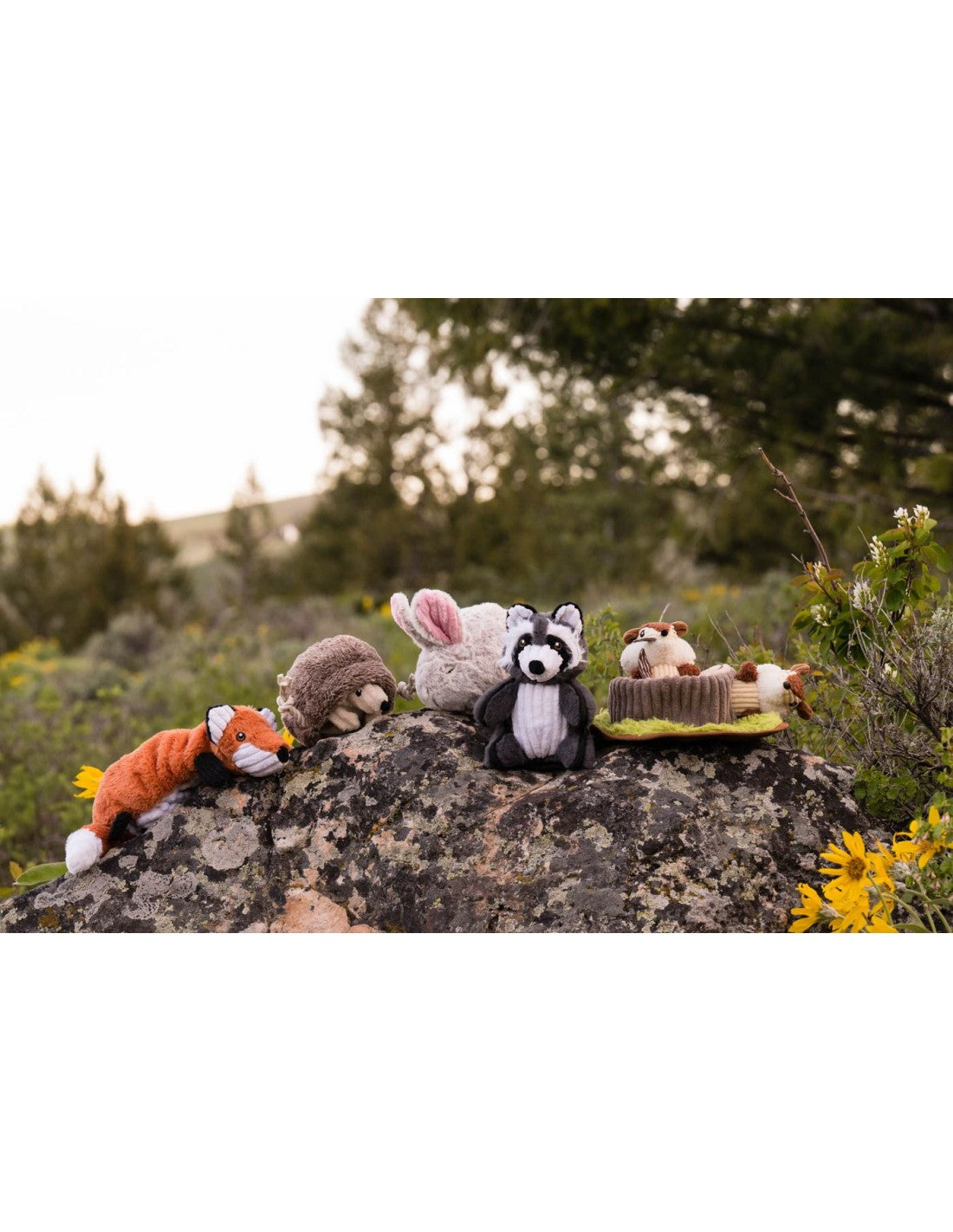 P.L.A.Y Pet Lifestyle and You, Woodland Creatures Collection - Multiple Options