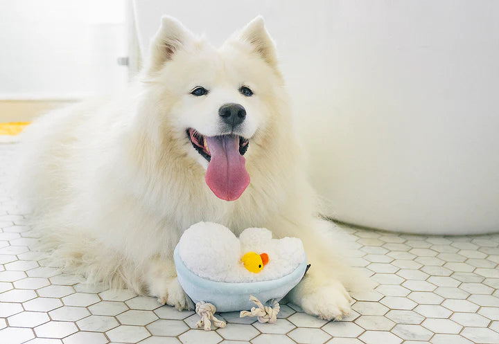 P.L.A.Y Pet Lifestyle and You Splish Splash Collection - Multiple Options