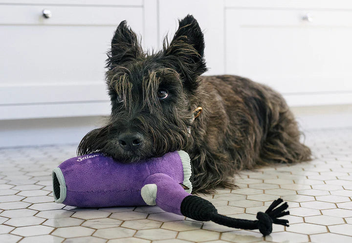 P.L.A.Y Pet Lifestyle and You Splish Splash Collection - Multiple Options