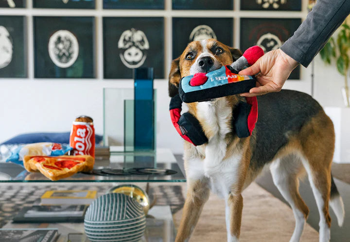 P.L.A.Y Pet Lifestyle and You, 80s Classics Collection - Multiple Options