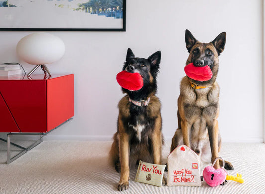 P.L.A.Y Pet Lifestyle and You, Love Bug Smoochy Poochy