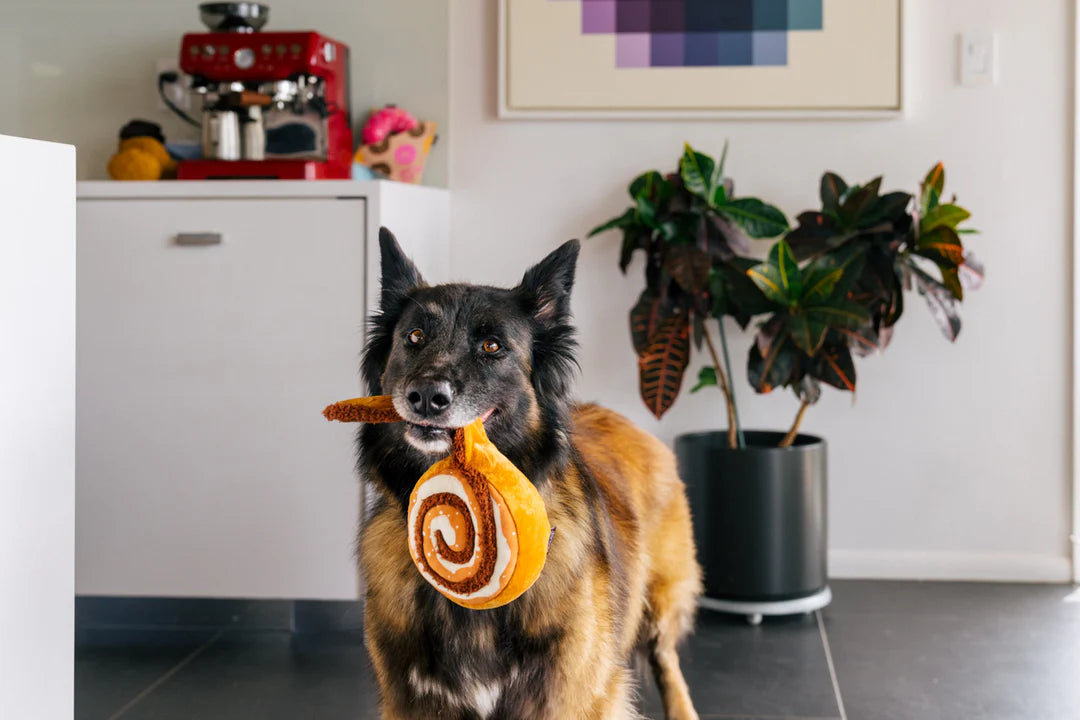 P.L.A.Y. Pet Lifestyle and You, Cinna-Bone - Multiple Options