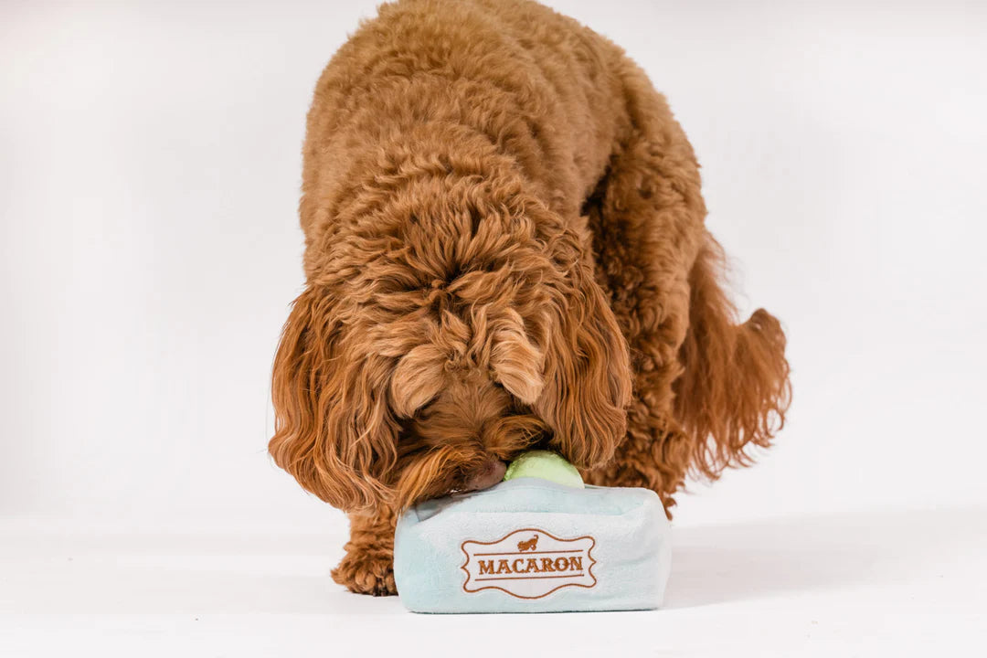 P.L.A.Y. Pet Lifestyle and You, Mutt-A-Rons - Multiple Options