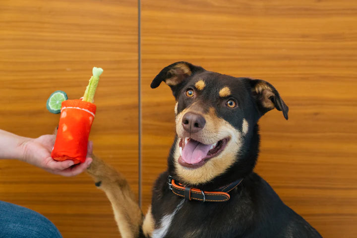 P.L.A.Y. Pet Lifestyle and You, Barking Brunch Toy - Multiple Options