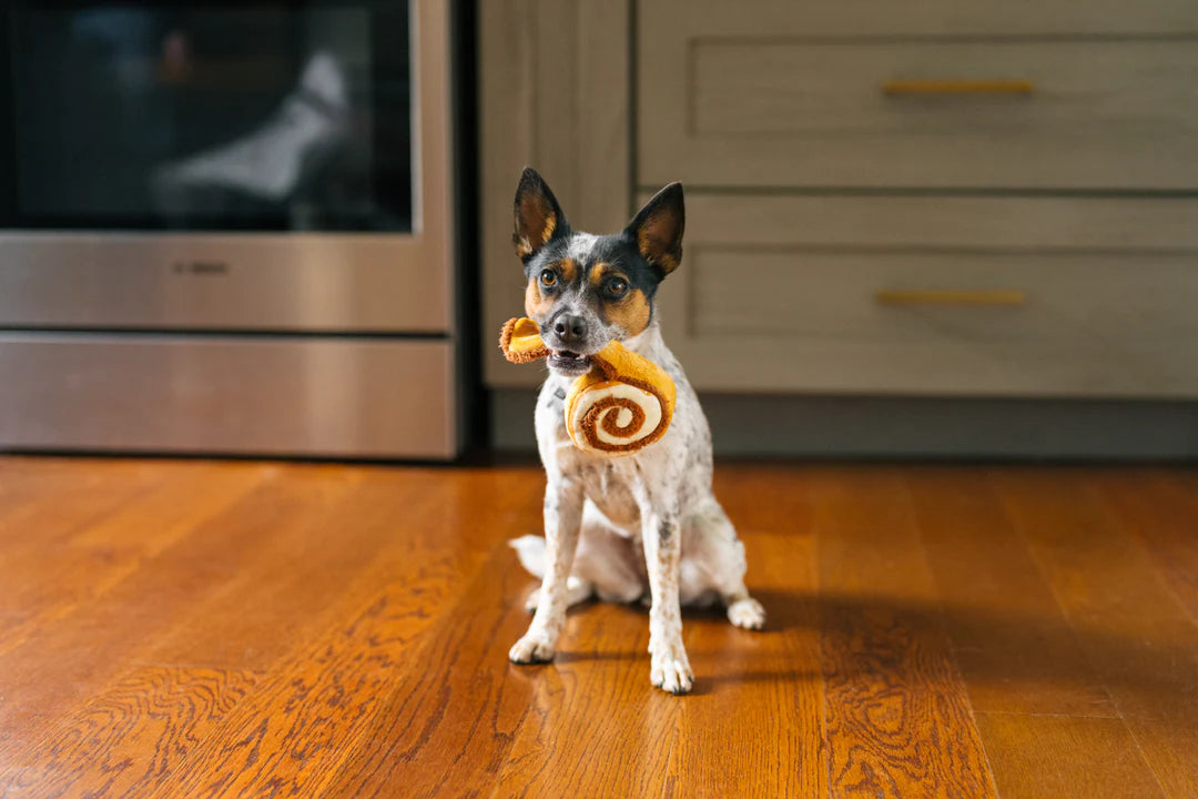 P.L.A.Y. Pet Lifestyle and You, Cinna-Bone - Multiple Options
