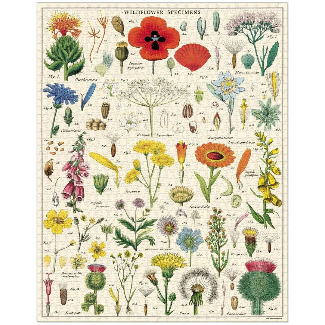 Cavallini & Co 1000 Piece Vintage Print Puzzles - Multiple Options