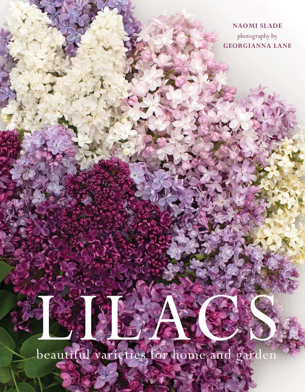 Gibbs Smith Lilacs