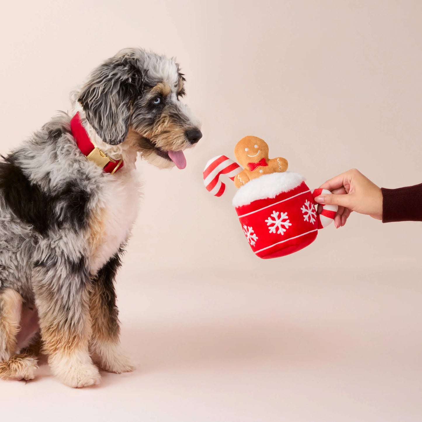 The Foggy Dog Holiday Hot Cocoa Interactive Snuffle Dog Toy