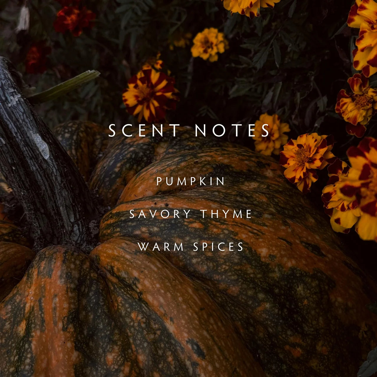 Linnea Diffuser Kit, Harvest Pumpkin