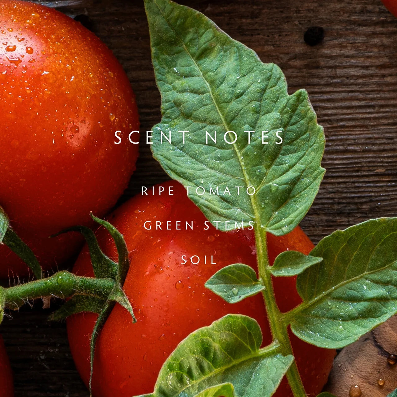 Linnea Hand Wash, Heirloom Tomato