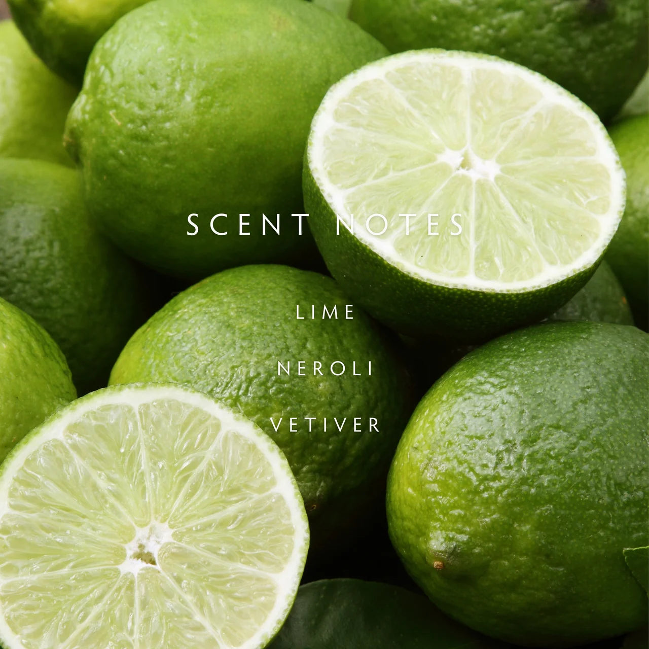 Linnea Diffuser Kit, Persian Lime
