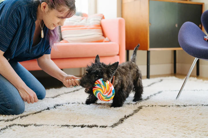 P.L.A.Y. Pet Lifestyle and You Snack Attack Toys, Multiple Options