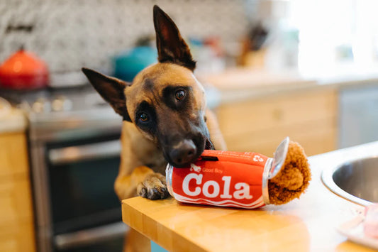 P.L.A.Y. Pet Lifestyle and You, Snack Attack Toys - Multiple Options
