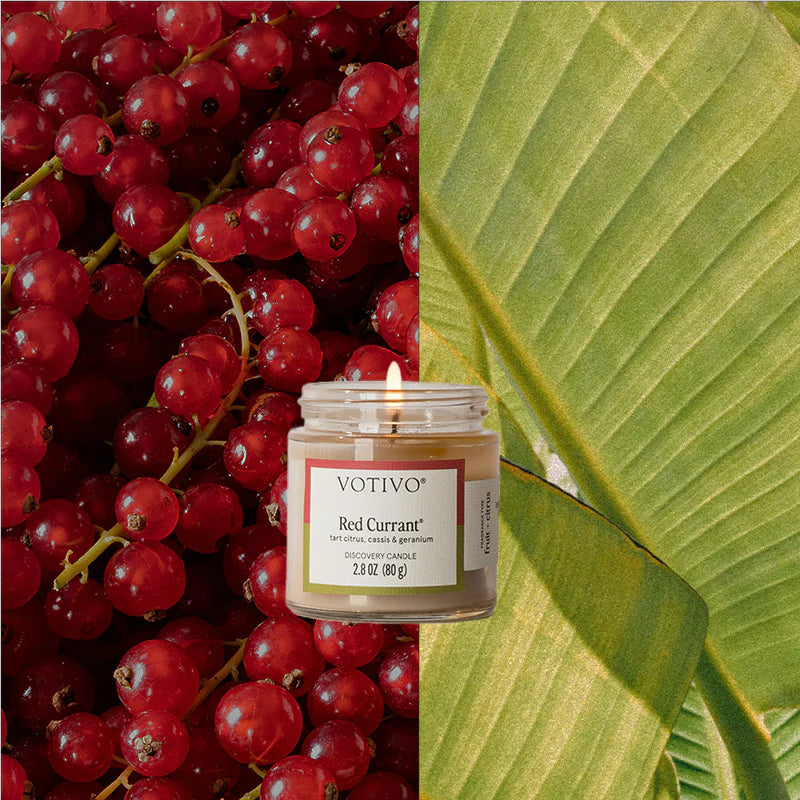 Votivo Discovery Candle - Multiple Options