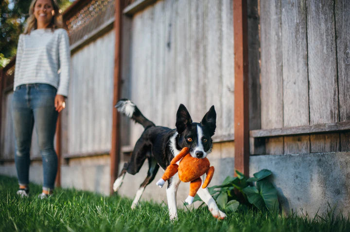 P.L.A.Y. Pet Lifestyle and You, Holiday Classic Set - Multiple Options