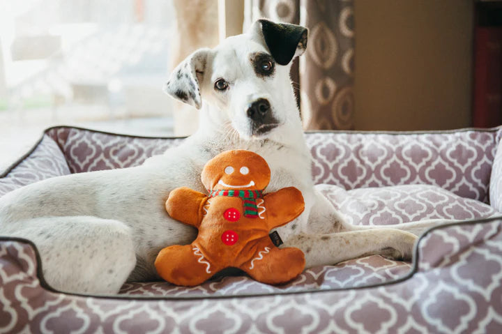 P.L.A.Y. Pet Lifestyle and You, Holiday Classic Set - Multiple Options