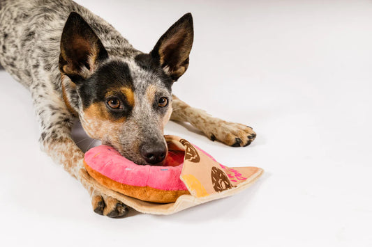 P.L.A.Y. Pet Lifestyle and You, Doughboy Donut